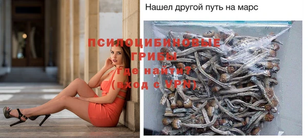 кокаин Богданович