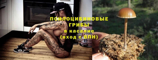 амф Богородицк