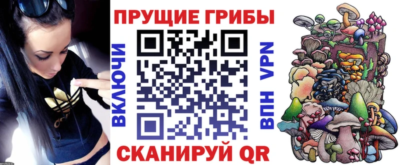 Псилоцибиновые грибы прущие грибы  Калининск 